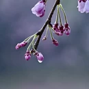 无锡旅游 缩略图 11
