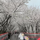 宁波旅游 缩略图 1