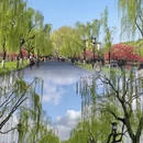 杭州旅游 缩略图 3