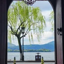 杭州旅游 缩略图 5