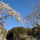北京旅游 缩略图 5