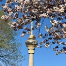 北京旅游 缩略图 6
