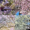 北京旅游 缩略图 1