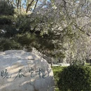 北京旅游 缩略图 4
