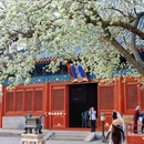 北京旅游 缩略图 6