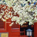 北京旅游 缩略图 5