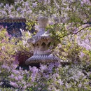 北京旅游 缩略图 3
