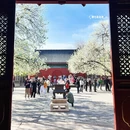 北京旅游 缩略图 7