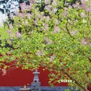 北京旅游 缩略图 12