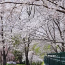 北京旅游 缩略图 13