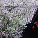 北京旅游 缩略图 8