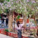 北京旅游 缩略图 10