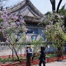 北京旅游 缩略图 9
