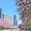 北京旅游 缩略图 17