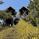 大连旅游 缩略图 9