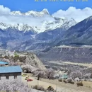 林芝旅游 缩略图 3