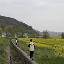 十堰旅游 缩略图 3