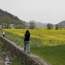 十堰旅游 缩略图 4