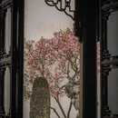 苏州旅游 缩略图 6