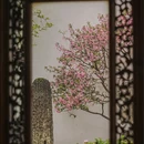 苏州旅游 缩略图 8