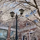 北京旅游 缩略图 7