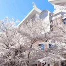 北京旅游 缩略图 2
