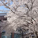 北京旅游 缩略图 5