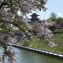 西安旅游 缩略图 1