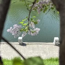 西安旅游 缩略图 5