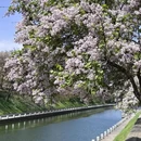 西安旅游 缩略图 2
