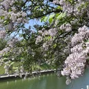 西安旅游 缩略图 6