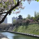 西安旅游 缩略图 7