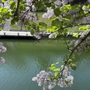 西安旅游 缩略图 10