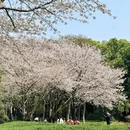 长沙旅游 缩略图 2