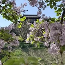 西安旅游 缩略图 11