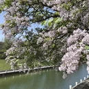 西安旅游 缩略图 12