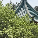 长沙旅游 缩略图 1