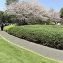长沙旅游 缩略图 10