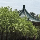 长沙旅游 缩略图 4