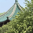 长沙旅游 缩略图 2