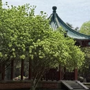 长沙旅游 缩略图 7