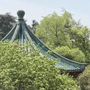 长沙旅游 缩略图 6