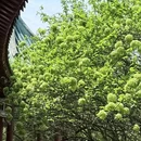 长沙旅游 缩略图 3