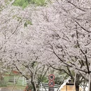 宁波旅游 缩略图 2