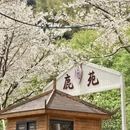 宁波旅游 缩略图 5