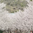 宁波旅游 缩略图 8