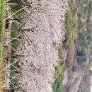 宁波旅游 缩略图 3