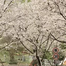 宁波旅游 缩略图 10