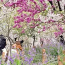宁波旅游 缩略图 7