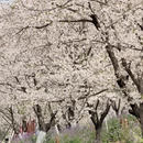 宁波旅游 缩略图 6